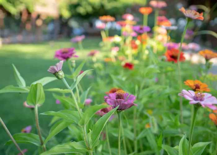 Guest house Ova Butik 3*